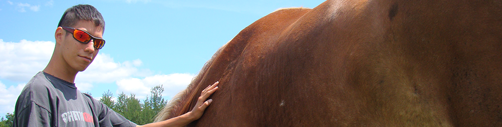 guy with horse